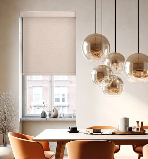 Boutique Blackout Roller Shades