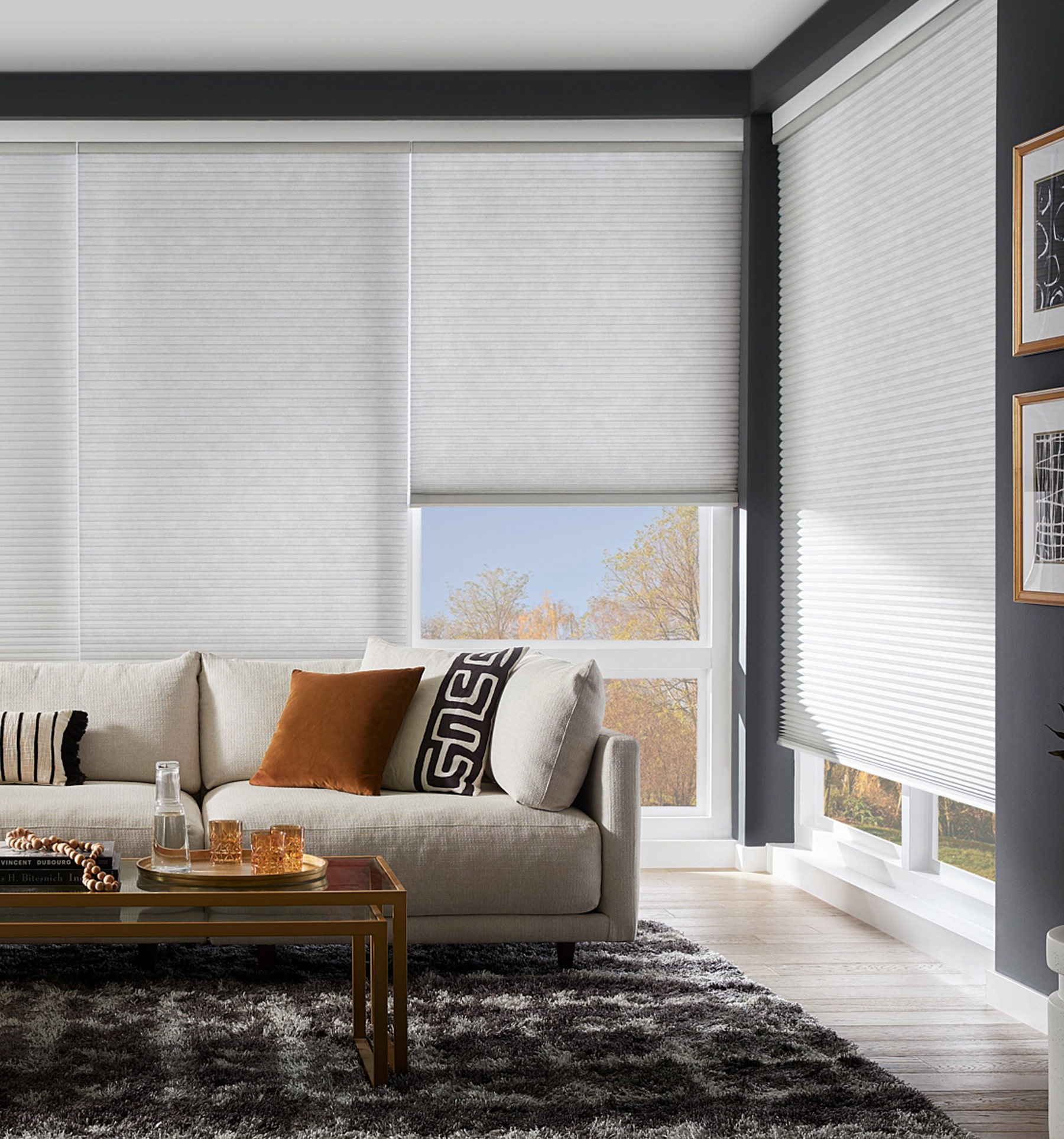 Blindsgalore Select Motorized Cellular Shades