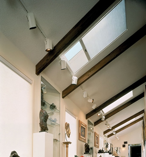 Blindsgalore Select Motorized Skylight Shades