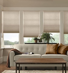 Blindsgalore Classic Cordless Light Filtering Cellular Shade shown in Sandy Tan