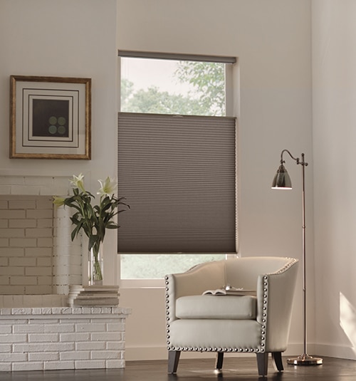 Blindsgalore Classic Cordless Blackout Cellular Shade shown in Arbor