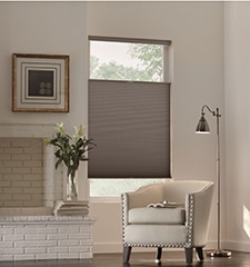 Blindsgalore Classic Cordless Blackout Cellular Shade shown in Arbor