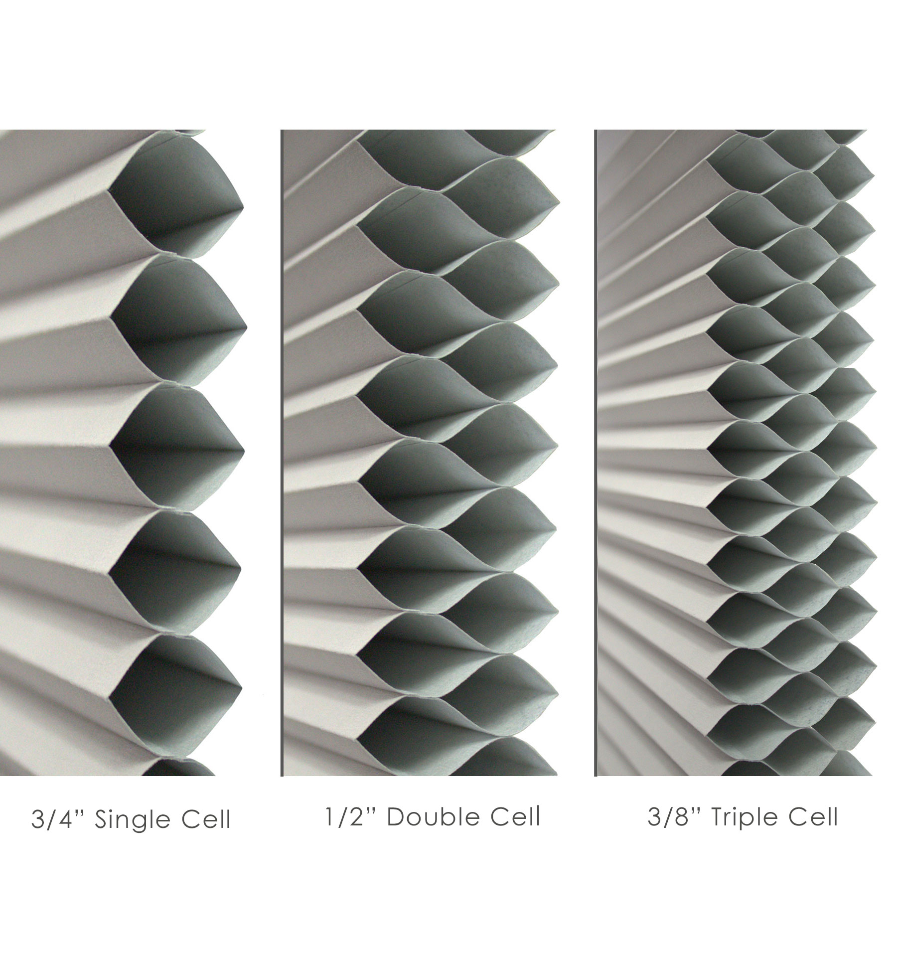 Comparison of Triple Cell, Double Cell and Single Cell sizes