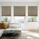 Blindsgalore Gallery Blackout Cellular Shades shown in Grizzly