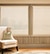 Motorized Sheer Shades shown in Macaroon