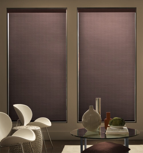 Blindsgalore® Expressions Solar Shade shown in Canvas Print: Walnut