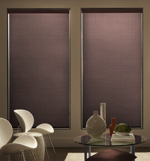 Blindsgalore® Expressions Solar Shades: Textures & Patterns