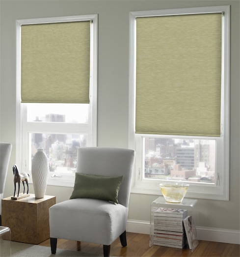 Blindsgalore® Expressions Roller Shade: Textures