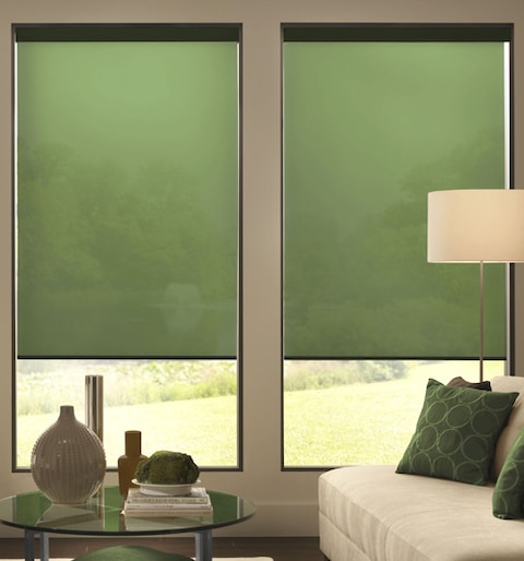 Blindsgalore Expressions Roller Shades: Solids