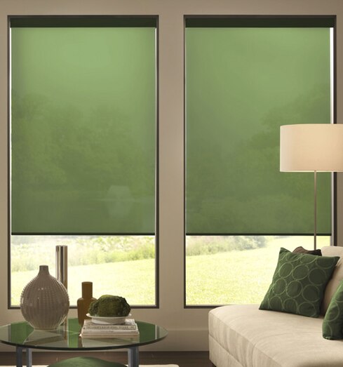 Blindsgalore® Expressions Roller Shades: Solids