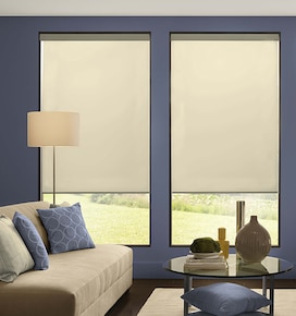 Blindsgalore Expressions Motorized Roller Shades: Solids