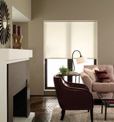 Blindsgalore® Roller Shades: Newport Light Filtering