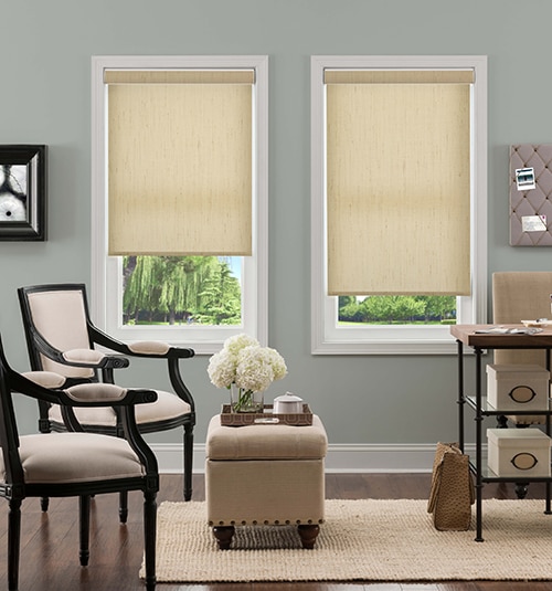 Blindsgalore® Hudson Roller Shades | Blindsgalore