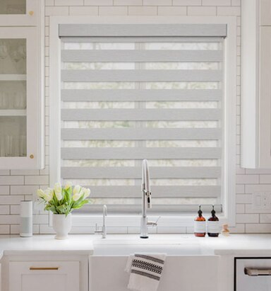 Blindsgalore Classic Motorized Dual Sheer Shades