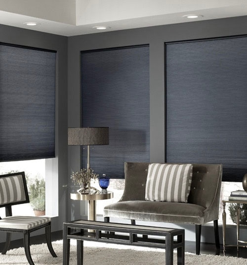 Blindsgalore® Cordless Double Cellular Shades shown in Silver
