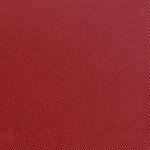 Color Image - Fundamentals Caliente