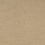 Color Image - Shoreline Moccasin