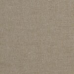 Color Image - Vivid Raw Sugar