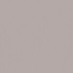Color Image - Classic Gray