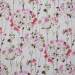 Color Image - Wildflower Pink Thistle