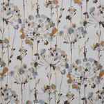 Color Image - Wildflower Forget-Me-Not
