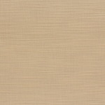 Color Image - Sovereign Beach House