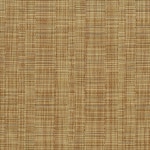 Color Image - Sahara
