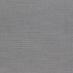 Color Image - Silver Fox
