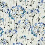 Color Image - Wildflower Blue Bonnet