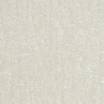 Color Image - Metallic Silver