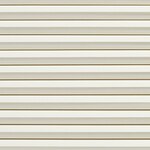 Color Image - Antique White