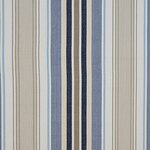 Color Image - Bay Stripe Blue Heron