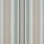 Color Image - Bay Stripe Seaside Tern