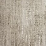 Color Image - Stria Champagne