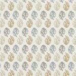 Color Image - Elkhorn - Summer Sand