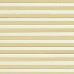 Color Image - Spellbound Whipped Cream