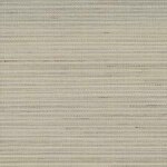 Color Image - Ashland Oyster