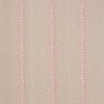 Color Image - Chital Blush