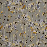 Color Image - Wildflower Speckled Yarrow