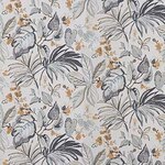 Color Image - Botanica Graphite