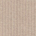 Color Image - Camel