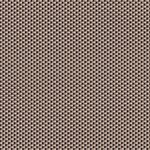 Color Image - Sahara