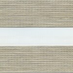 Caymen Oyster Shell