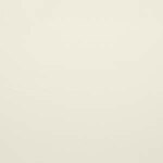 Blindsgalore Essential Light Filtering Roller Shades