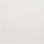 Blindsgalore Essential Light Filtering Roller Shades