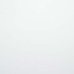 Blindsgalore Essential Light Filtering Roller Shades