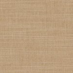 Color Image - Moccasin